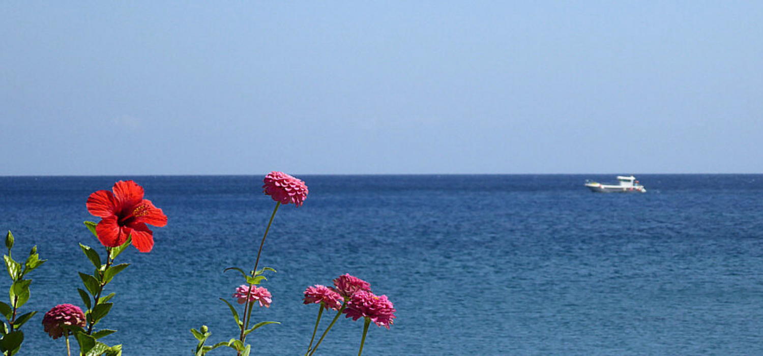 Boot im Meer und Blumen am Strand